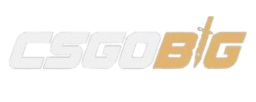 CSGOBig